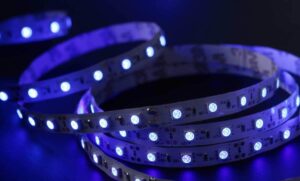 Promotion of a Specialized Online Store