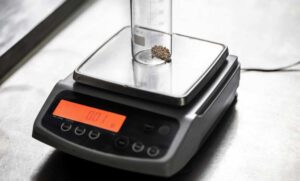 The Significance of Systematic and Ongoing SEO Promotion